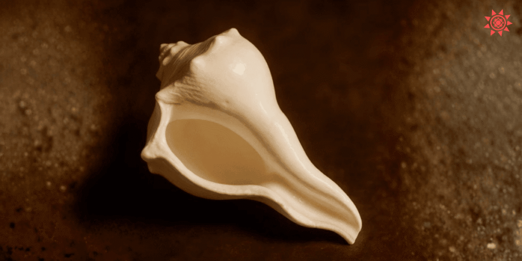 Dakshinavarti Shankh sacred conch shell used in Hindu rituals for prosperity wealth and positive energy