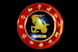 Capricorn Zodiac sign Best Astrology Consultion With free kundli analysis Capricorn Zodiac sign