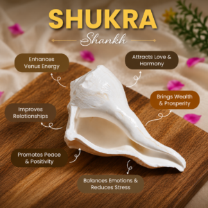 Conch shell on a wooden surface with bubbles listing Shukra Shankh benefits: enhances Venus energy; attracts love and harmony; brings wealth and prosperity; improves relationships; balances emotions and reduces stress; promotes peace and positivity.